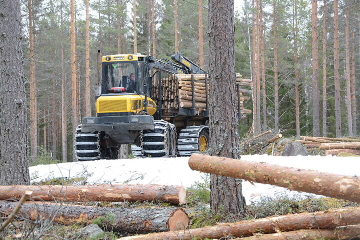 ritovuori