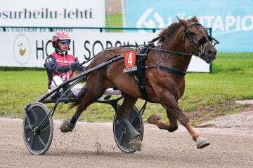 30 evartti kopio