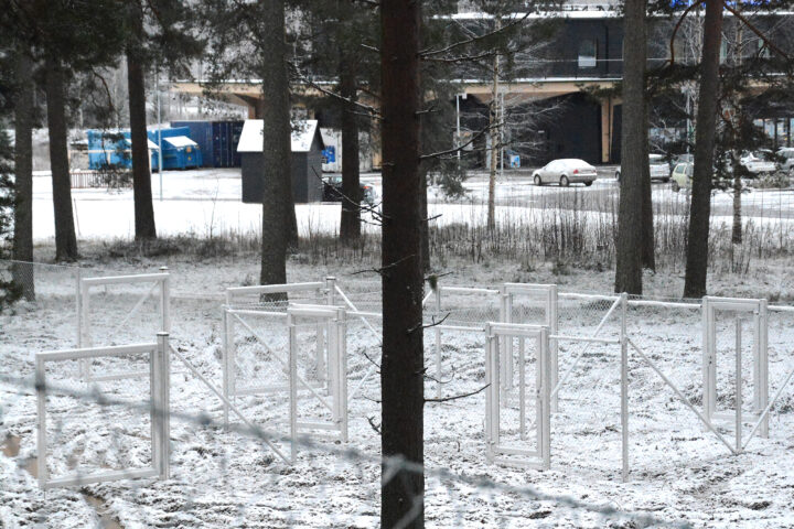 koirapuisto