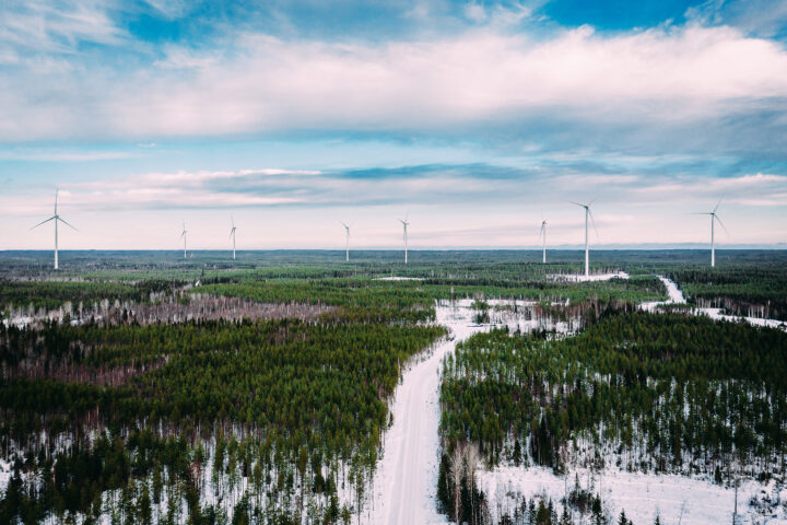 hautakankaan puisto