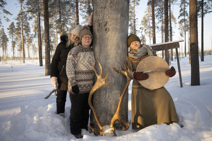 pyhäpuu