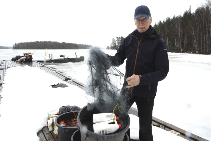 jaakko tammelin
