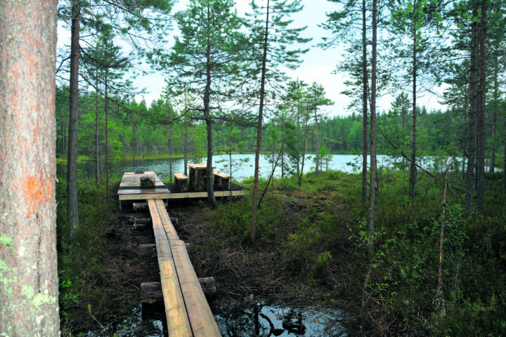 32 yölampi laituri