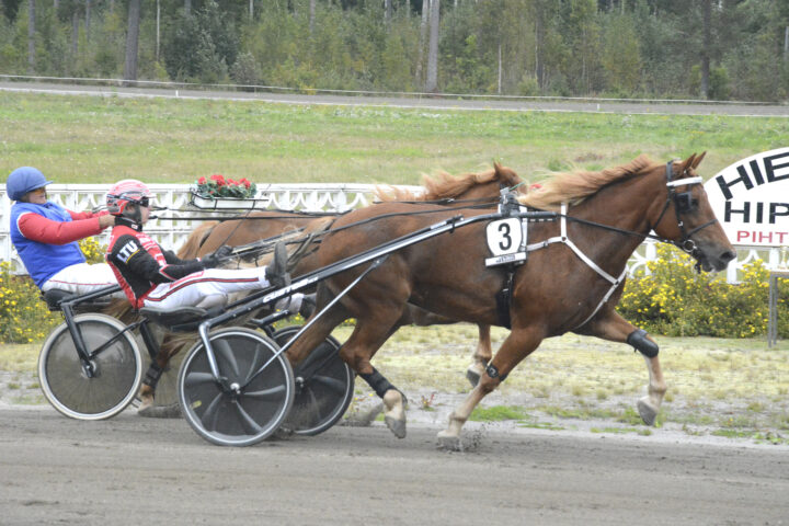 ravit2