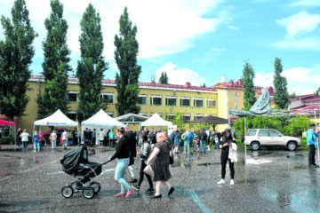 miesmarkkinat