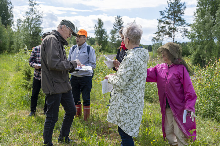 25 luonnonkukkapäivä2