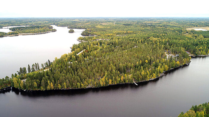 lossivuori