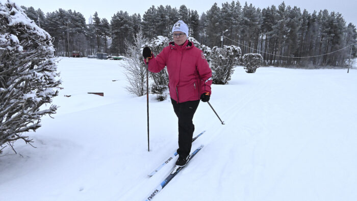 satu malinen