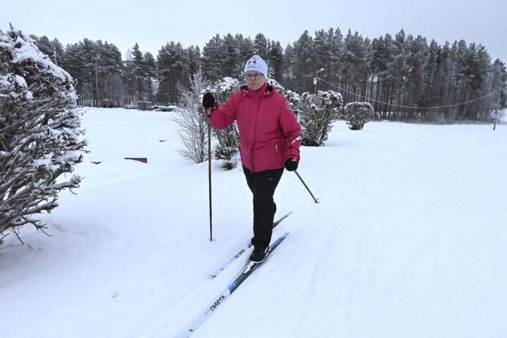 satu malinen