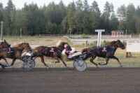 31 ravit