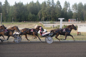 31 ravit