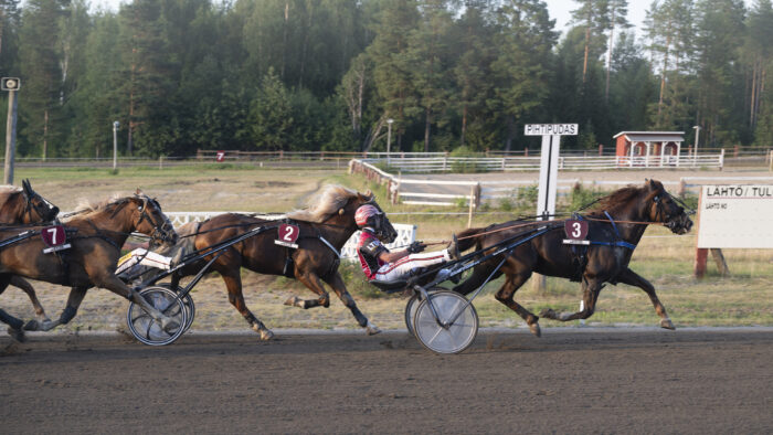 31 ravit