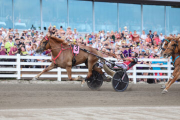 54695107109_5313415fd1_o