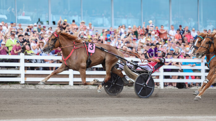 54695107109_5313415fd1_o