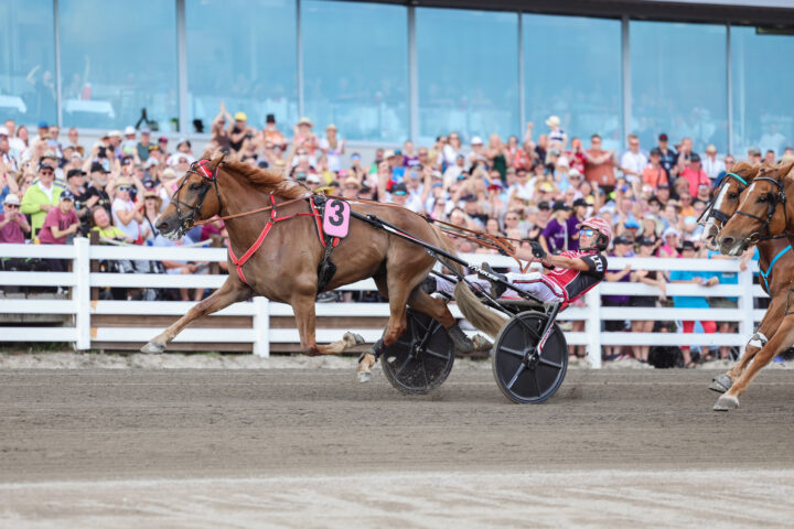 54695107109_5313415fd1_o