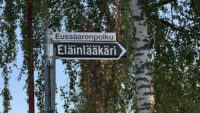 36 eläinlääkäri