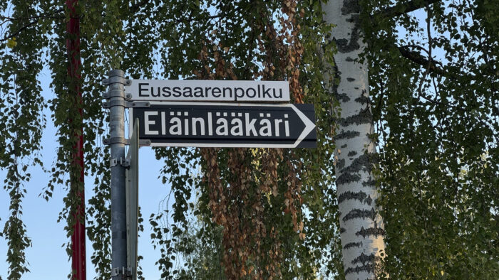 36 eläinlääkäri