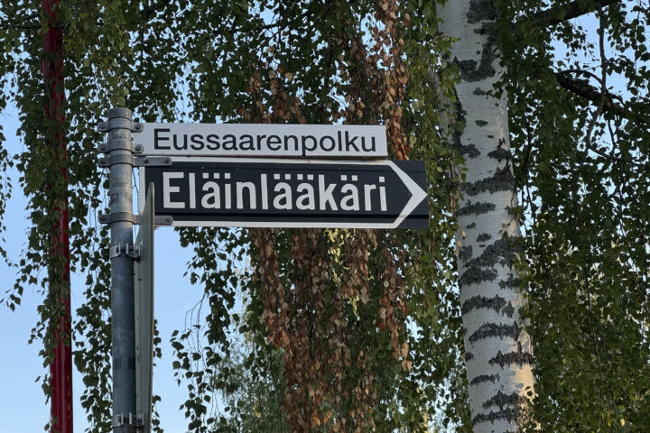 36 eläinlääkäri