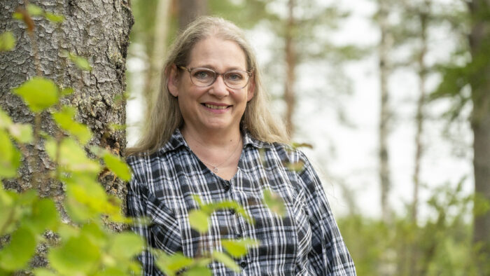 36 maaritvesterinen