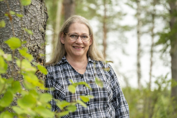 36 maaritvesterinen