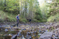 39 liitonjoki