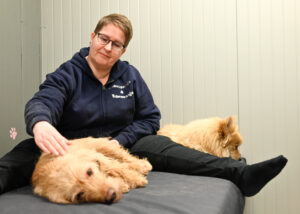 Merja Heikkilä hieroo bretagnenbassetti Unnaa. Mittelspitz Örri odottaa kiltisti omaa vuoroaan.