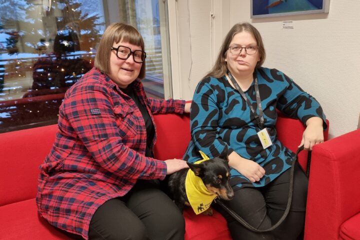 Leena Pirttiniemi, Shona, Kirsi Kotisaari 2