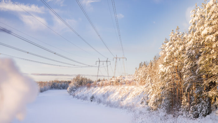 1026171d-2574-4d56-a98b-08d040a6576e