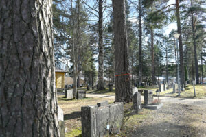 14 Puita hautausmaalla