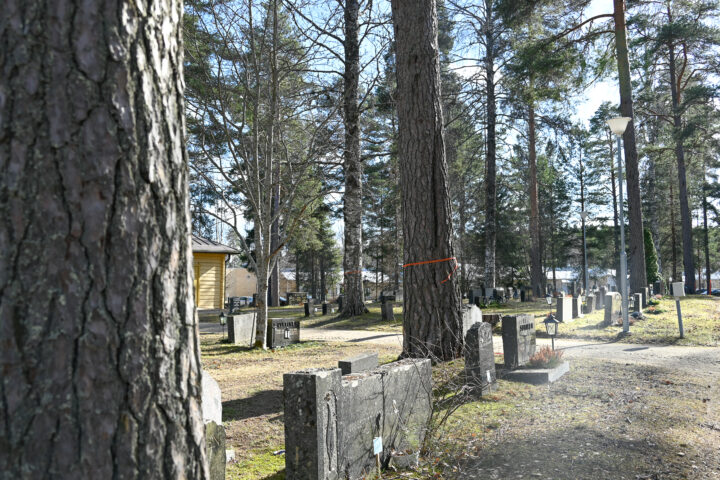 14 Puita hautausmaalla