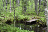 24 lähde