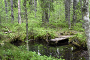 24 lähde