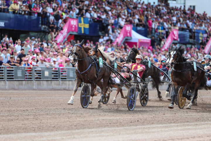 VÃ¤nrikki+-+Santtu+Raitala+-+Solvalla+30.5.2026+-+Kuvaaja+Maisa+Hyttinen