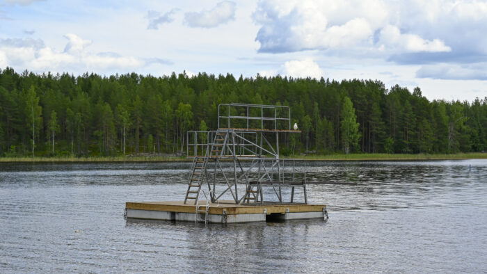 Häikän hyppytorni-8277