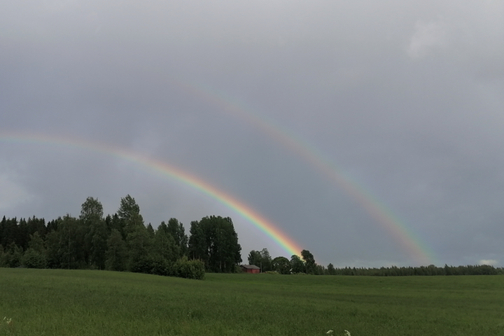 sateenkaari
