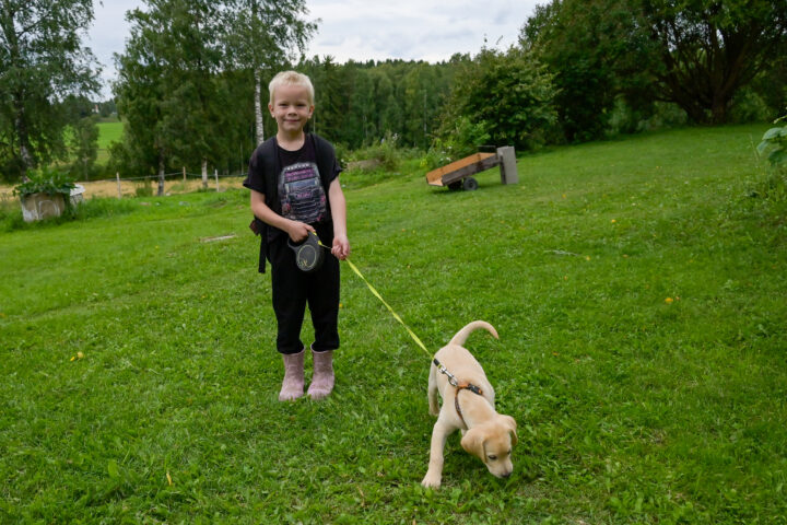 33 Erkki Kalliokoski
