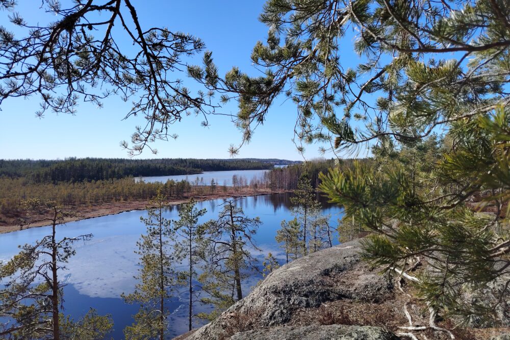 Ensi lauantain luontoretki suuntautuu Vuorijärven maisemiin